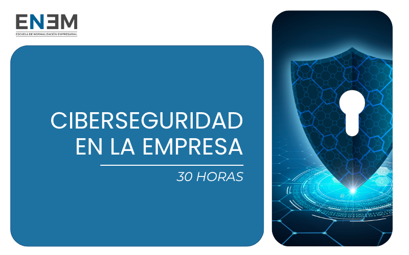 Ciberseguridad en la Empresa (30h)