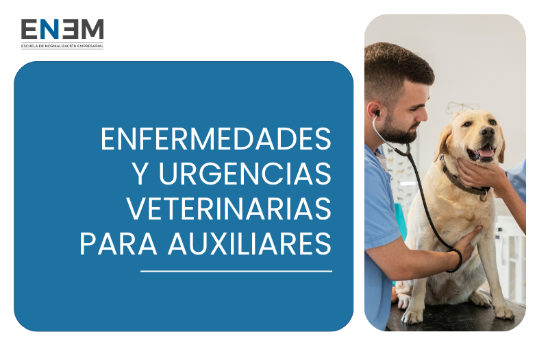 Enfermedades y Urgencias Veterinarias para Auxiliares