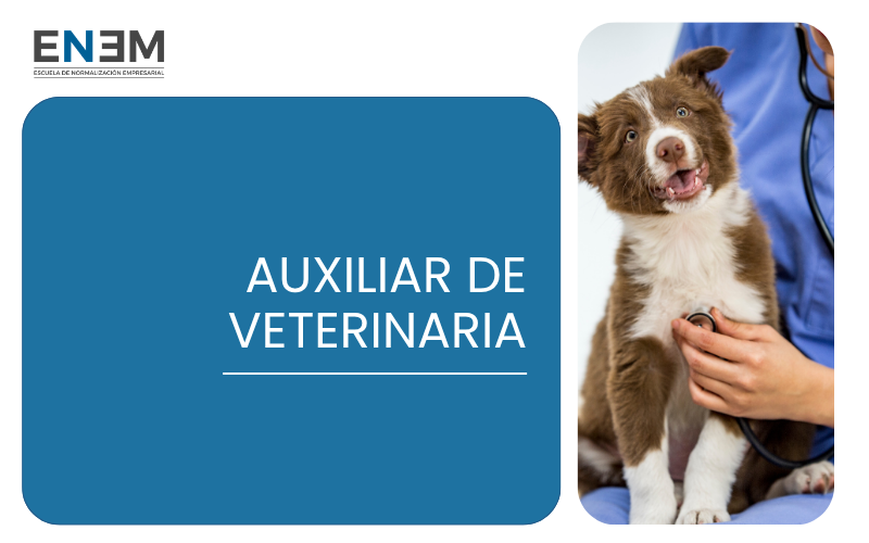 Auxiliar de Veterinaria