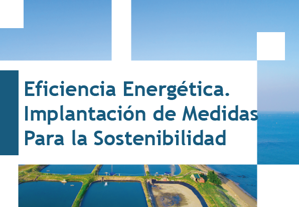 Eficiencia Energética. Implantación de Medidas para la Sostenibilidad (30h)